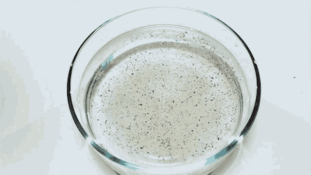 a person 's hand is pointing at a glass bowl of water