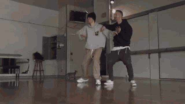 two men are dancing in a dance studio while a cat watches .