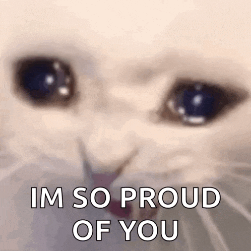 a close up of a cat 's face with the words `` im so proud of you '' written on it .
