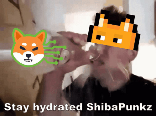 Shibarium Shibapunkz GIF - Shibarium Shibapunkz Drink Water GIFs