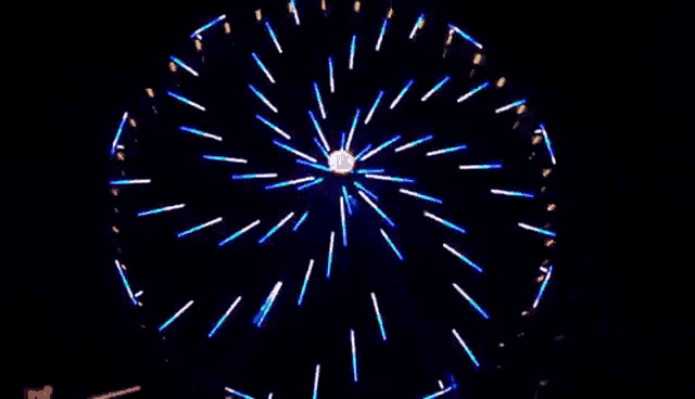 a ferris wheel is lit up at night and looks like a fireworks display