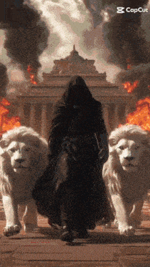 a man in a hood is walking with two lions in front of a burning building .