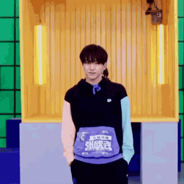a man wearing a purple sweatshirt with the number 9 on the back is standing in front of a yellow wall .