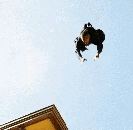 a man in a suit is jumping off a roof