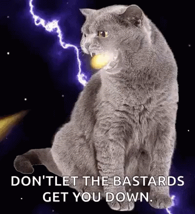 Angry Cat Firebreathing GIF - Angry Cat Firebreathing Dont Let Them Get You Down GIFs