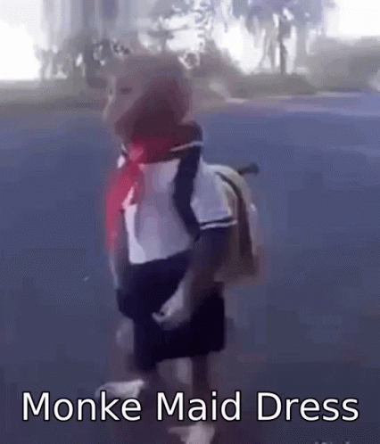 Monke Exorid GIF - Monke Exorid Maid Dress GIFs