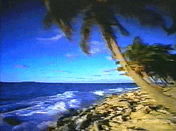 a painting of a beach with palm trees and the ocean in the background