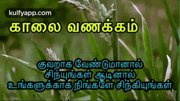 a picture of a plant with the words in tamil written on it