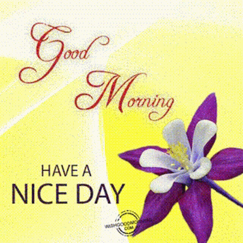 Good Morning Have A Nice Dayआपकादिनशुभहो GIF - Good Morning Have A Nice Dayआपकादिनशुभहो शुभप्रभात GIFs