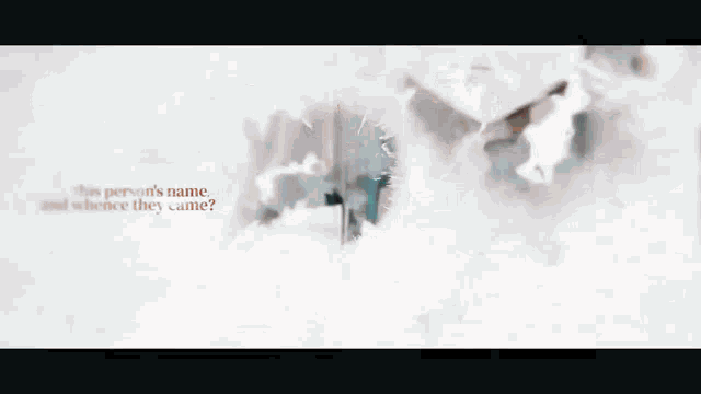a person 's name and where they came are written in a white background .