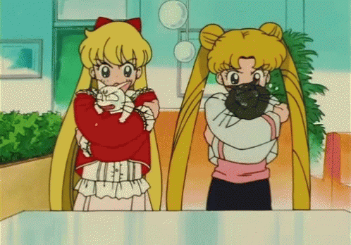Sailor Moon Usagi GIF - Sailor Moon Usagi GIFs