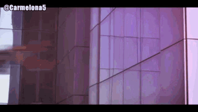 a purple building with the name carmelona5 on the bottom right