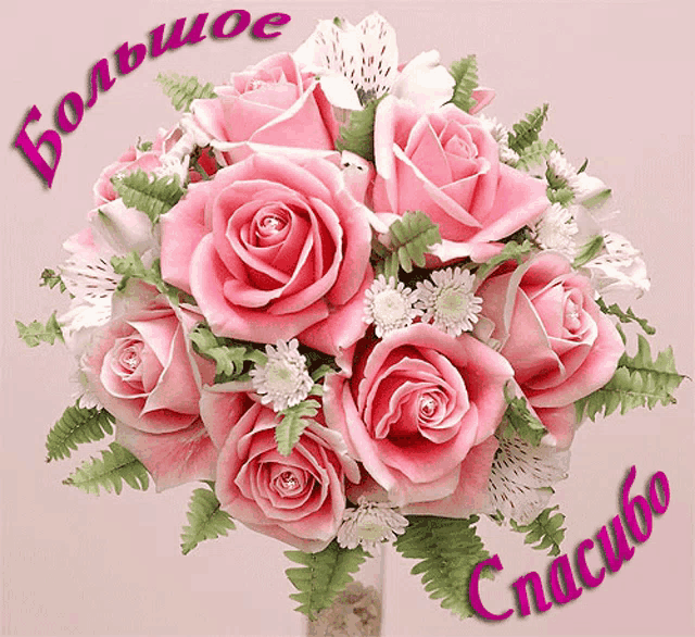 a bouquet of pink roses with green leaves and the words большое спасибо on the bottom