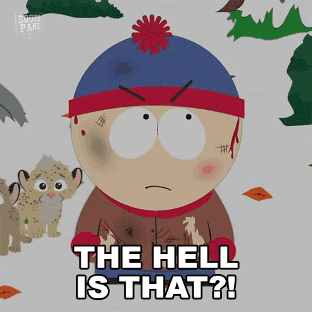 stan marsh from south park has blood on his face and says " the hell is that "