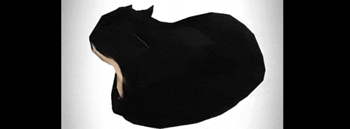 a black cat laying down on a white surface