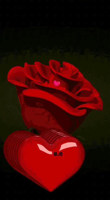 a red rose surrounded by pink hearts and the name anita cruz on the bottom