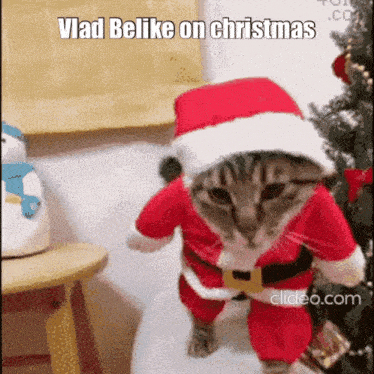 a cat is dressed in a santa suit and hat and is standing in front of a christmas tree .