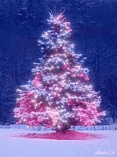 a picture of a christmas tree with pink lights taken by mikula73