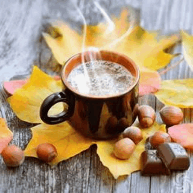 a cup of hot chocolate is surrounded by autumn leaves and nuts .