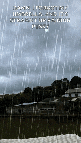 a picture of a house in the rain with the caption damn i forgot my umbrella and it 's straight up raining