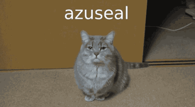 a cat is yawning with the word azuseal behind it
