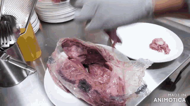 a piece of meat on a plate with the words made in animatica on the bottom