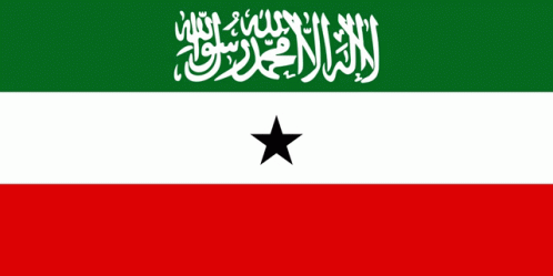 Somaliland Somali Flag Africa Somaliland Somali Africa Flag GIF - Somaliland Somali Flag Africa Somaliland Somali Africa Flag GIFs