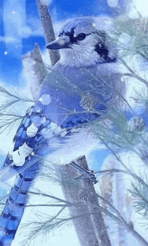 a blue jay perched on a tree branch in the snow