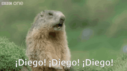 a ground squirrel says diego in a bbc one ad