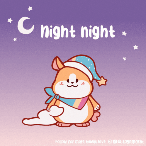 a cartoon of a hamster wearing a sleep cap with the words night night written above it