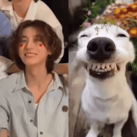 a woman is smiling next to a white dog with flowers on its nose .