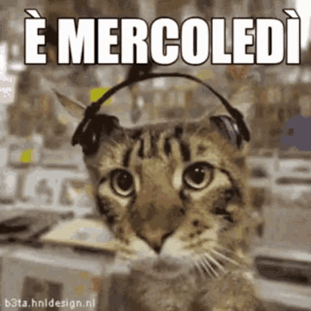 a cat wearing headphones on its head with the words mercoledi written above it .