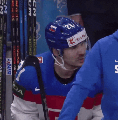 a hockey game is being played in front of a sign that says tipsport