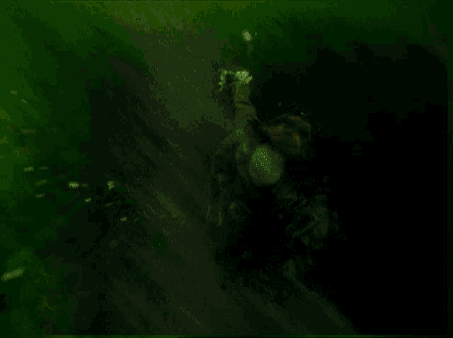 a person in a costume is swimming underwater