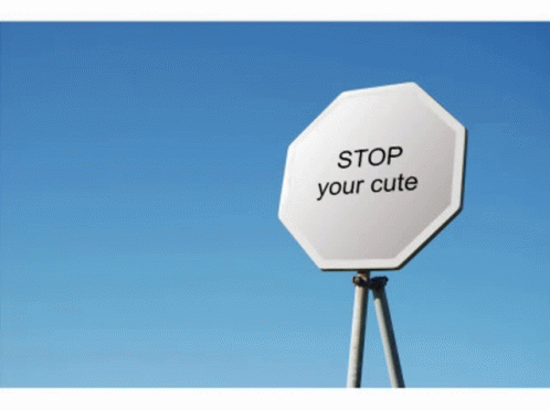 Stop Your Cute Stop Your Cute Road GIF - Stop Your Cute Stop Stop Your Cute Road GIFs