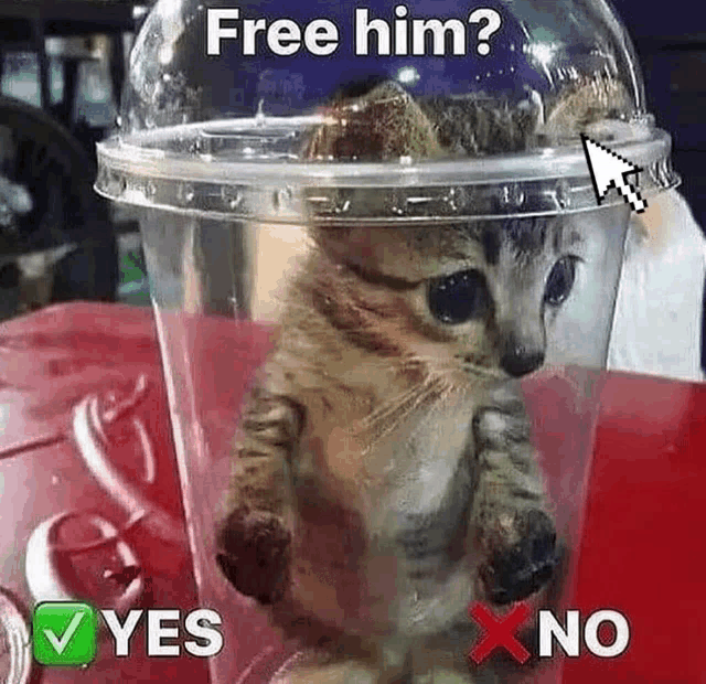 Cat Meme Trapped Yes Or No Choice Cursor Kitty Pussycat Kitten Sad Funny Choose Hm GIF - Cat Meme Trapped Yes Or No Choice Cursor Kitty Pussycat Kitten Sad Funny Choose Hm GIFs