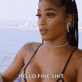 a woman in a bikini is standing in front of a body of water and says `` hello fine shit '' .