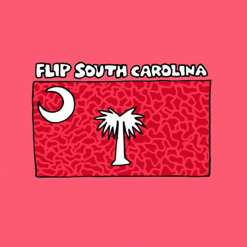 Flip South Carolina Sc GIF - Flip South Carolina Sc South Carolina GIFs