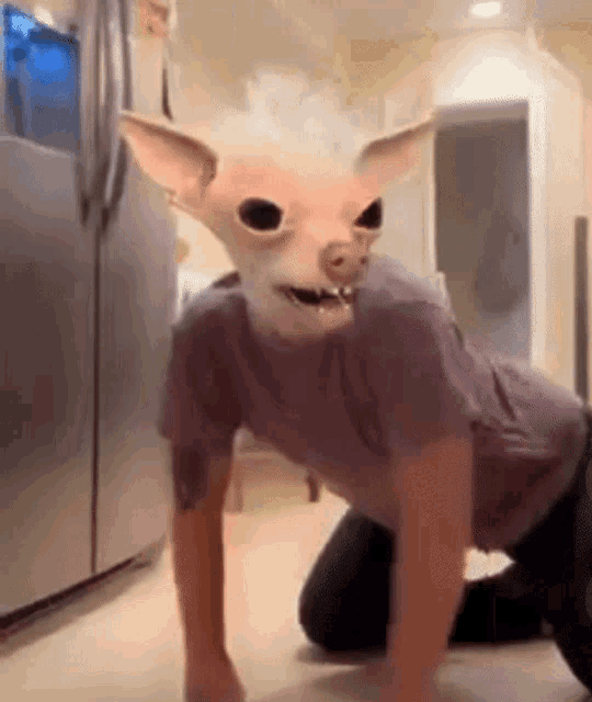 a person wearing a mask of a dog is crawling on the floor .