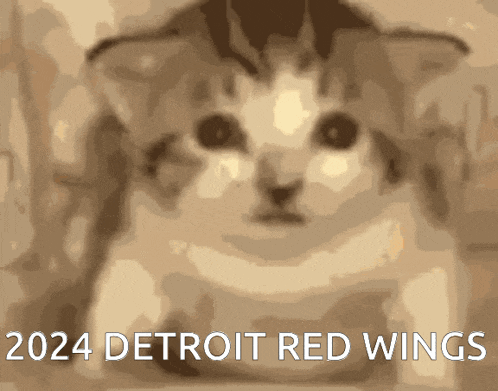 a picture of a cat with the words 2024 detroit red wings written below it