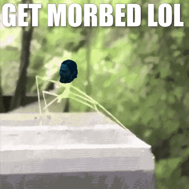 a drawing of a skeleton with the words get morbid lol