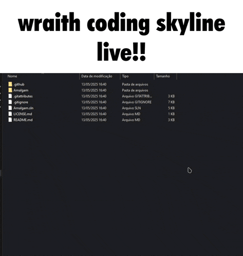 a screen shot of a program called wraith coding skyline