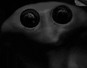 a close up of a person 's face with big eyes in a black and white photo .