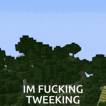 a screenshot of a minecraft scene with the words im fucking tweeking