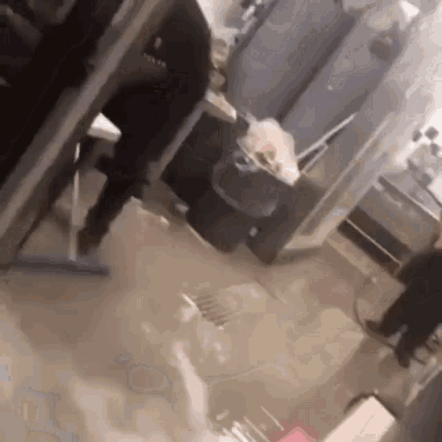 a person is cleaning the floor with a broom in a room .