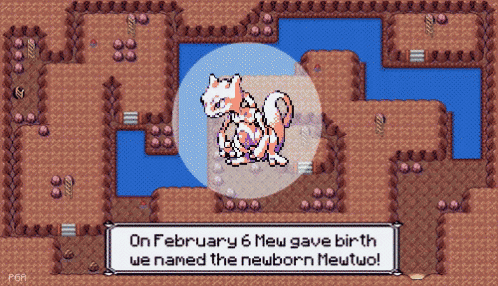 on february 6 mew gave birth we named the newborn meutwo