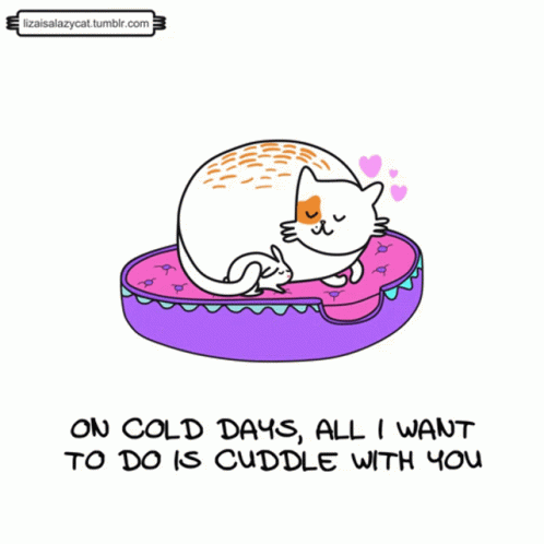 Cold Days Cuddle GIF - Cold Days Cuddle Cat GIFs