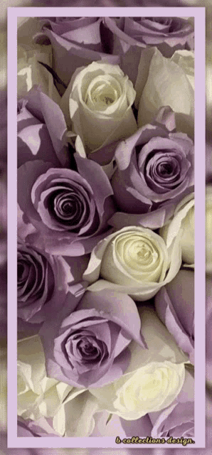 Flores Roses GIF - Flores Roses Flowers GIFs
