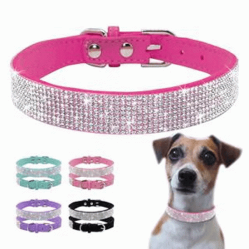 Led Dog Collar Best Led Dog Collar GIF - Led Dog Collar Best Led Dog Collar GIFs