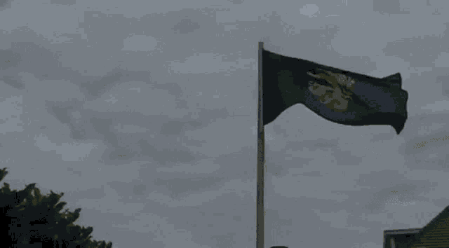 Brabant Flag Waving GIF - Brabant Flag Waving GIFs